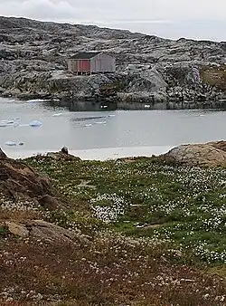 Photographies en couleurs de deux maisons implantées sur les rives d'un fjord, une étendue recouverte d'herbacées au premier plan.