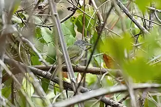 Description de cette image, également commentée ci-après