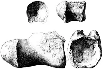 Description de cette image, également commentée ci-après