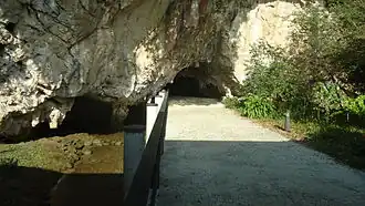 Image illustrative de l’article Grotte de Tito Bustillo