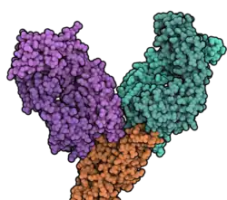 Image illustrative de l’article Evusheld