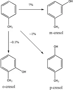 Voie métabolique du crésol
