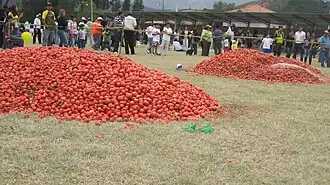 Tomates lors de l'édition de 2009.