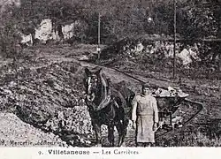 Photo d'un homme dirigeant un cheval qui tracte une charge sur un chemin de fer.