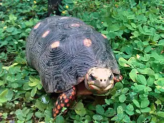 Description de cette image, également commentée ci-après