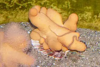 Description de cette image, également commentée ci-après