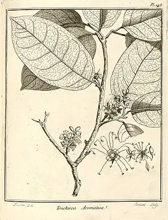 Description de cette image, également commentée ci-après