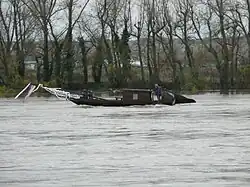 Loire, près de Langeais.