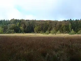 La tourbière Mont Bar au nord-ouest.
