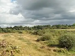 tourbières de Landemarais : autre vue depuis le chemin de découverte sur pilotis.