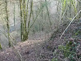 Vue sur les vestiges de la tour vers la Versoix