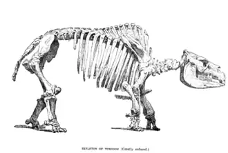Description de cette image, également commentée ci-après