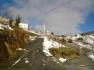 Vakfıkebir