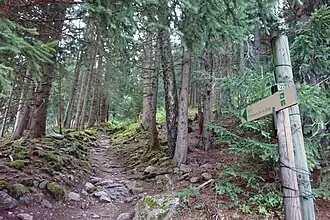 Le chemin du Montenvers.