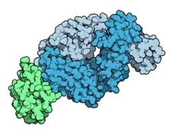 Image illustrative de l’article Tralokinumab