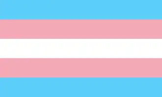 Un des drapeau trans.
