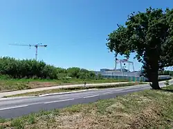 Photo d'une route entourée d'herbe et de végétation, avec un arbre au premier plan et une grue en second plan.