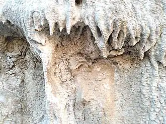 Travertins de las Salinas, détail