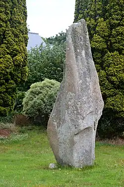 Image illustrative de l’article Menhir de Bonne-Nouvelle
