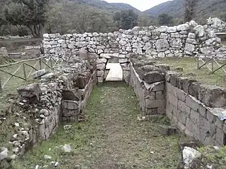 Image illustrative de l’article Trebula Balliensis