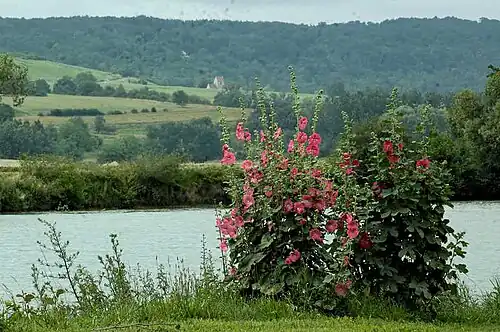 Les bords de Marne.