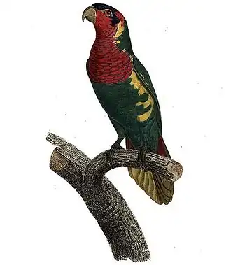 Description de cette image, également commentée ci-après