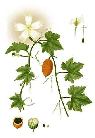 Description de cette image, également commentée ci-après