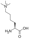 N6,N6,N6-Triméthyl-L-lysine