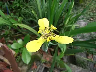 Description de cette image, également commentée ci-après