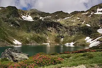 Estany de Més Amunt