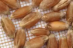 Gros plan des grains.