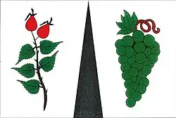Drapeau de Trnovany