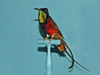 Description de cette image, également commentée ci-après