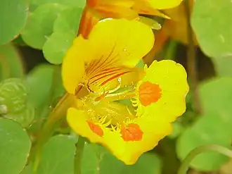 Description de cette image, également commentée ci-après