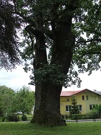 Trzygłów (Poméranie-Occidentale)