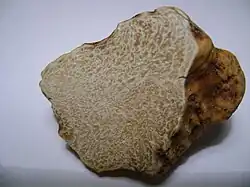 Truffe blanche coupée.