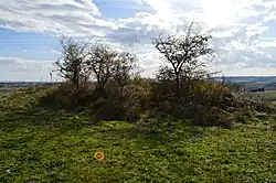 Image illustrative de l’article Tumuli de Chausse