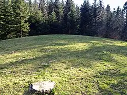 Image illustrative de l’article Tumulus d'Assens