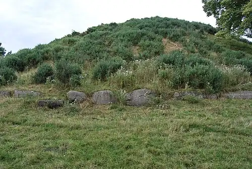 Tumulus de Dowth