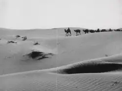 Description de l'image Turksib_camels.png.