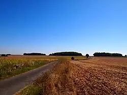 Image illustrative de l’article Tumuli de Tusson