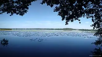 Image illustrative de l’article Seututie 145