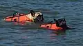 Deux bouledogues en train de nager, aidés par gilets, dans le Brofjorden à Lysekil en Suède, août 2017.