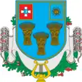 Blason de Raïon de Toultchyn