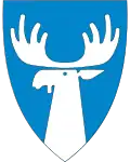 Blason de Tynset