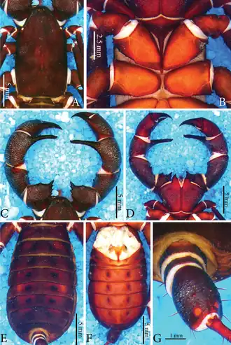 Description de cette image, également commentée ci-après