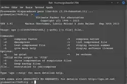 Description de l'image UPX screenshot.png.