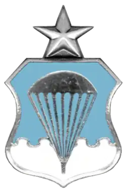 Air Force Senior Parachutist Badge
