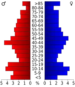 Schéma représentant la population du comté, par tranche d'âge. En rouge, à gauche, les femmes, en bleu à droite, les hommes.