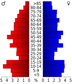 Schéma représentant la population du comté, par tranche d'âge. En rouge, à gauche, les femmes, en bleu à droite, les hommes.
